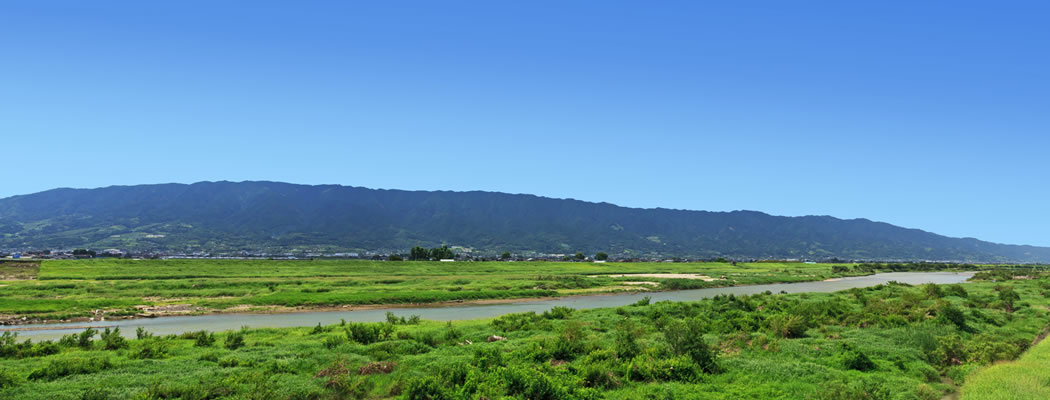 美肌の湯宿